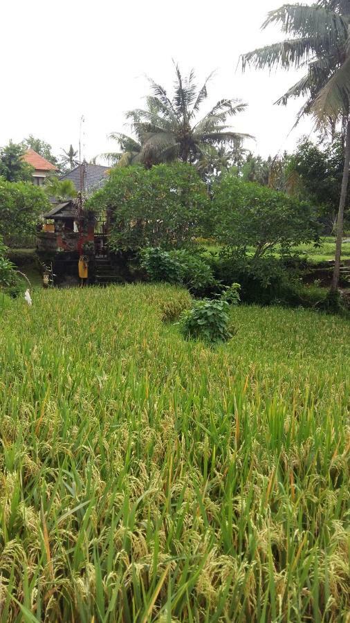 Pondok Tulasi Semaya House Gianyar  Luaran gambar