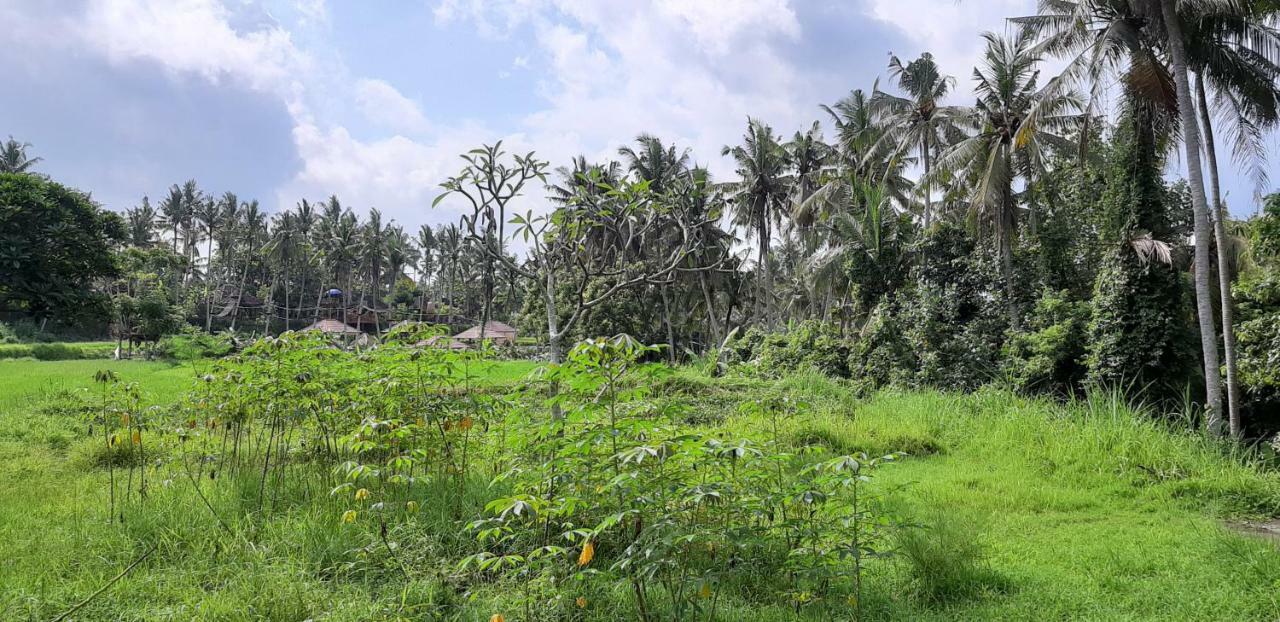 Pondok Tulasi Semaya House Gianyar  Luaran gambar
