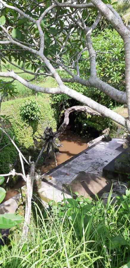 Pondok Tulasi Semaya House Gianyar  Luaran gambar